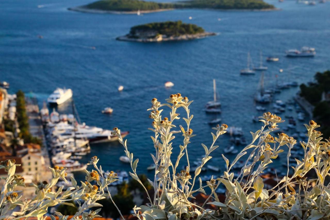 Feelhvar Along Bluelagoon Beach Hvar Town Buitenkant foto